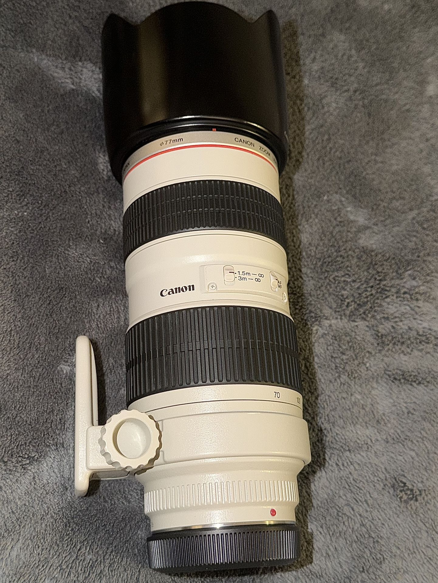 Canon EF 70-200mm 1:2.8 L ULTRASONIC