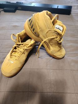 Nike LeBron 1 Wheat