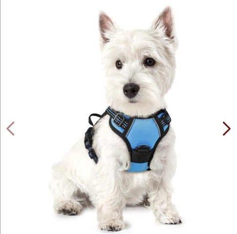 rabbitgoo Dog Harness No Pull