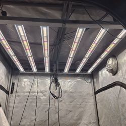 Viparspectra KS5000 Grow Light
