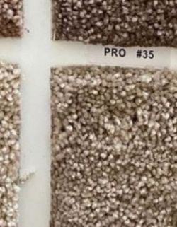 Tan Textured Carpet Sample