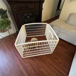 Dog Cage 