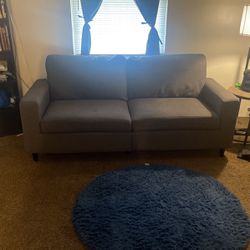 Couch/Sofa