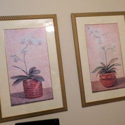 Two Framed Pictures