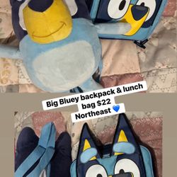 Bluey Backpack And Lunchbag $22 Northeast 