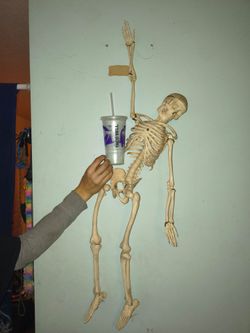 anatomically correct plastic skeleton