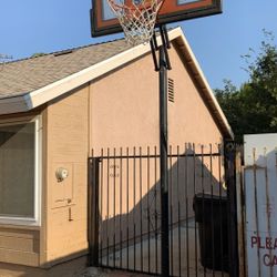 Basketball Hoop 