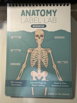 Anatomy Label Book