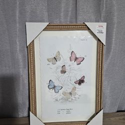 Butterfly Framed Picture