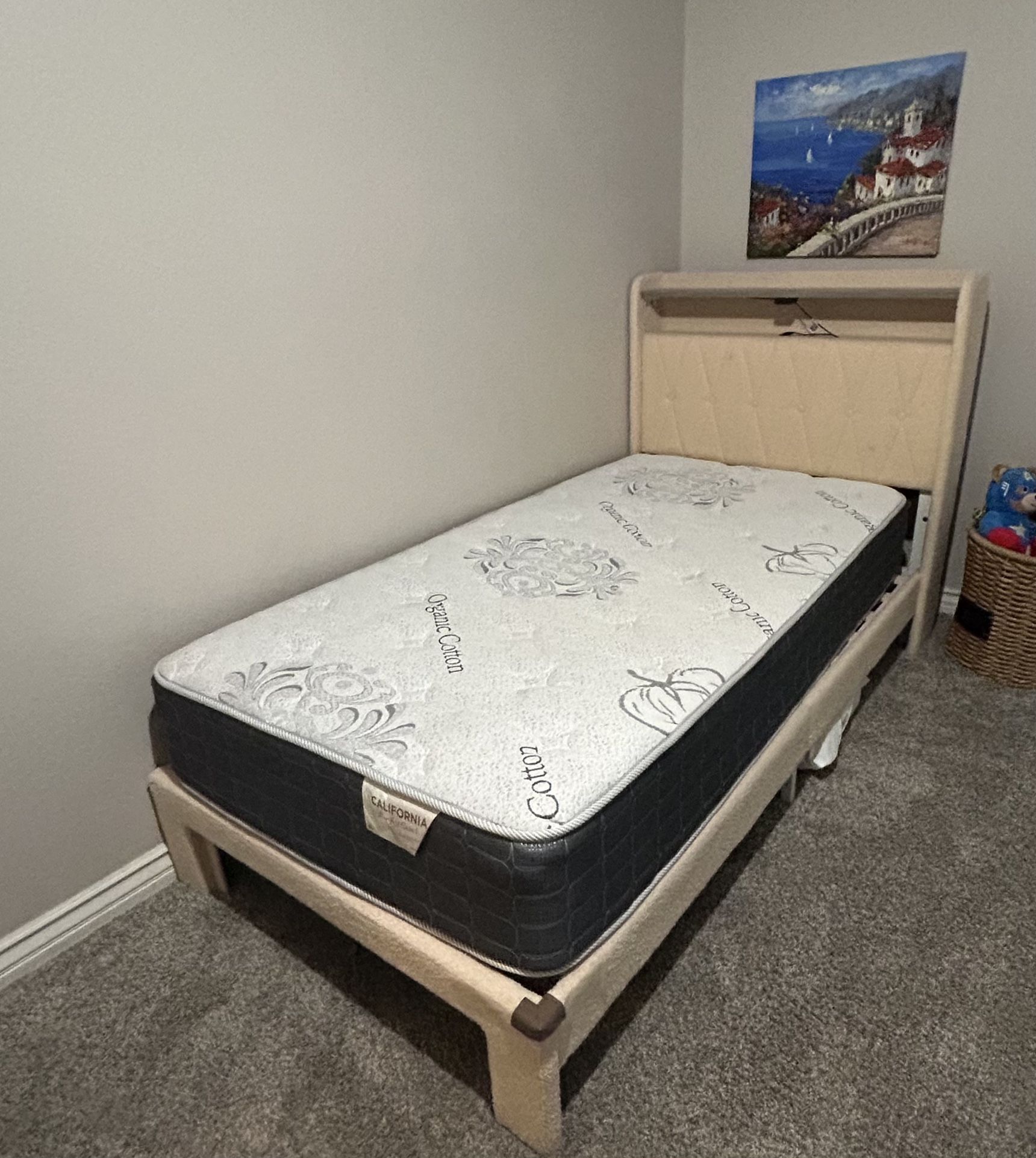 Twin Bed and Mattress
