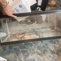 20 Gallon Tank With Lid