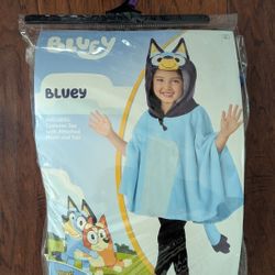 Bluey Halloween Costume