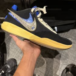 Nike LeBron 20 Speak Your Truth