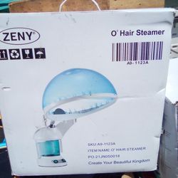 zeny o3 hair steamer