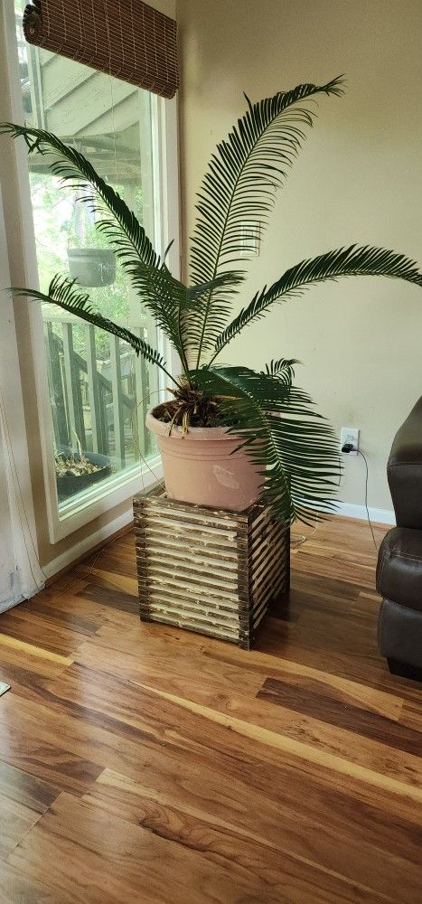 Handmade Plant Stands