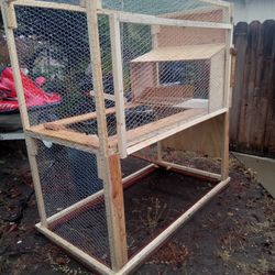 Bird Cage- Chicken Coup