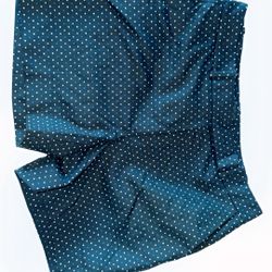 White House Black Market Shorts 