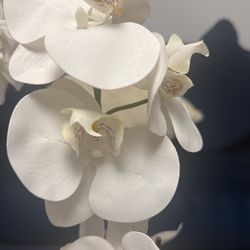 Hair Straighten/ Blow Out/ Simple Makeup