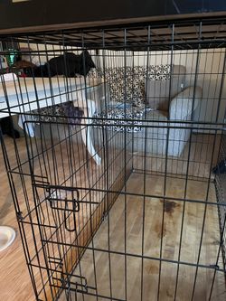 xl dog crate