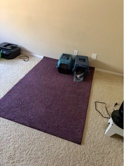Large and Small Carpets - Must Be Out by July 29!