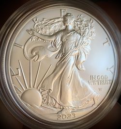 2023 W (Burnished) American Silver Eagle 