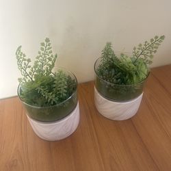Two Artificial Succulents $15 Total