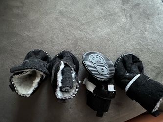 Dog shoes