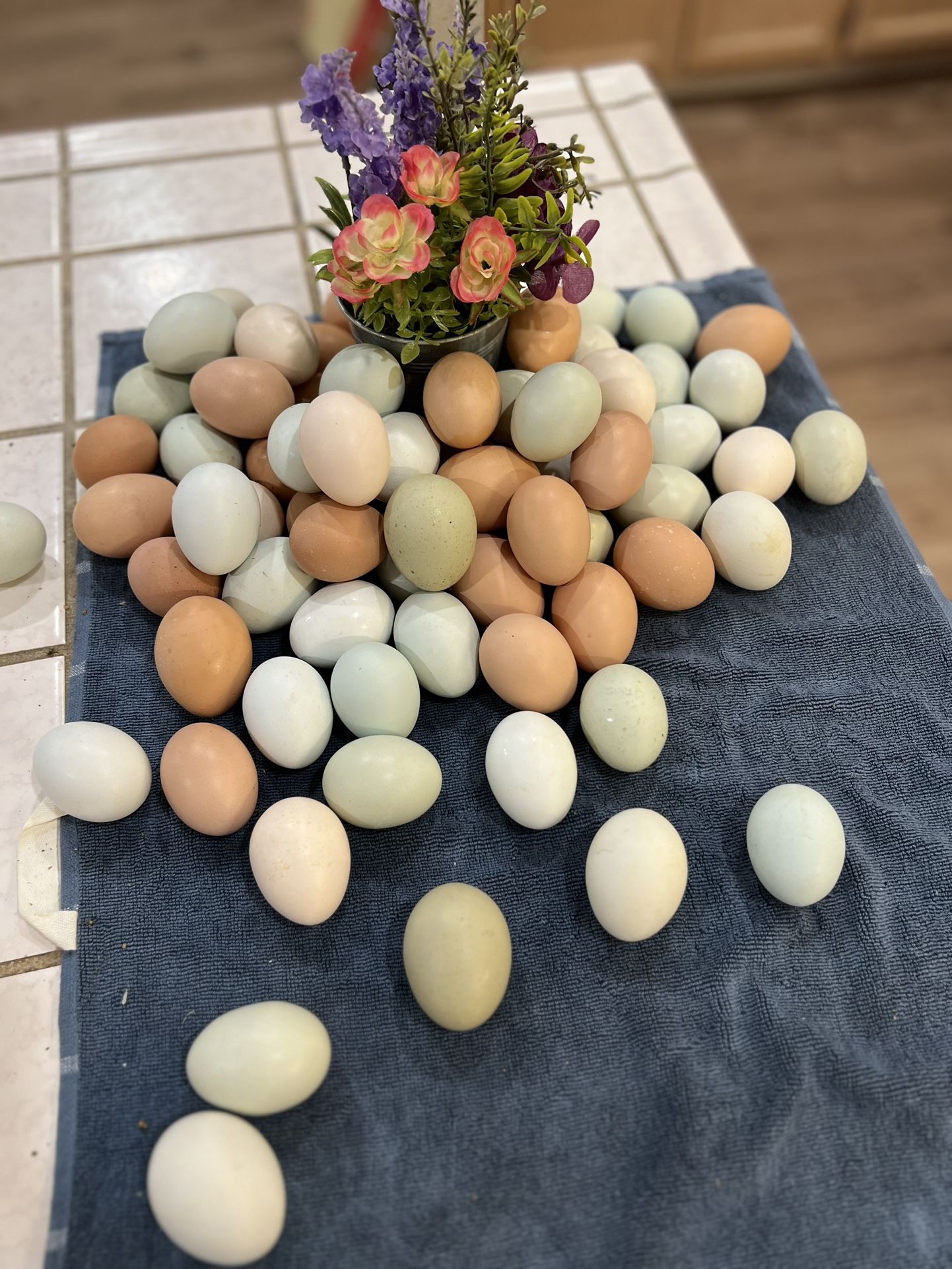 Fresh Eggs! 🥚 