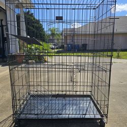 Wire Cat Cage Playpen