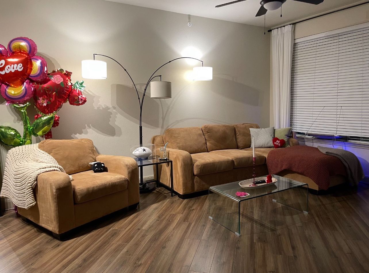 Sleeper Couch + Arm Chair