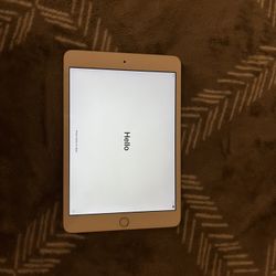 iPad Mini 3