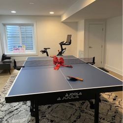 Ping PONG table 