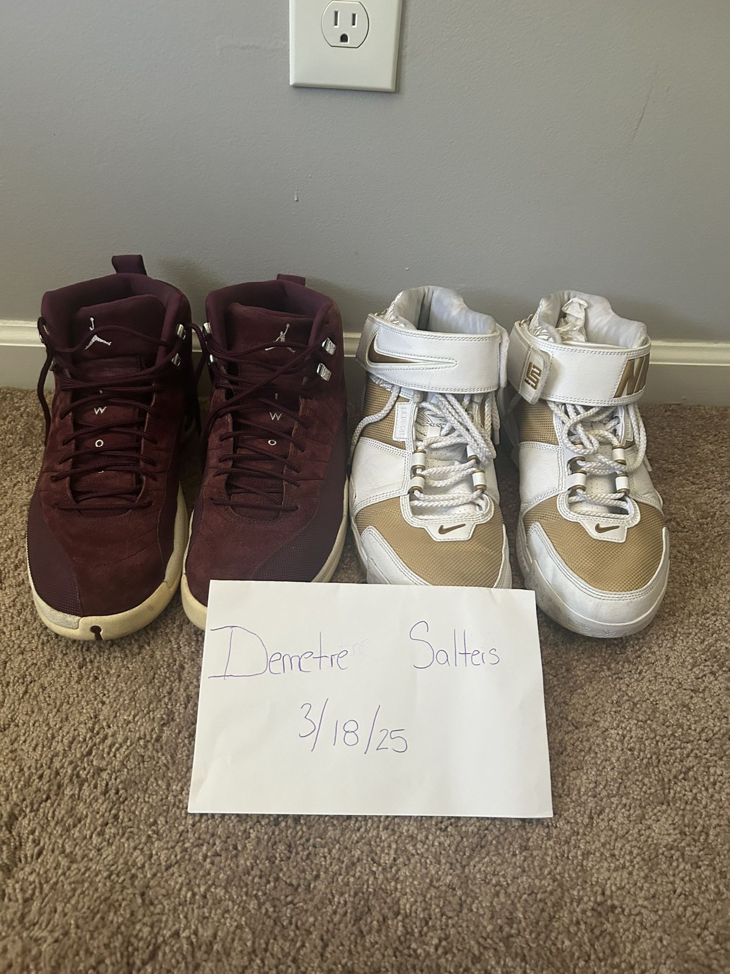 Jordan 12 & LeBron 2