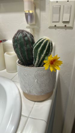 Artificial Cactus