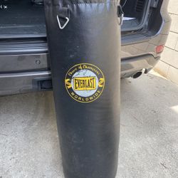 Everlast Punching Bag