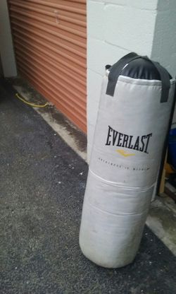 Everlast Punching Bag