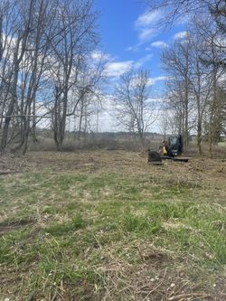 Brush Removal 