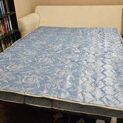 Room&Board Pull Out Sofa