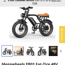 Ebike 