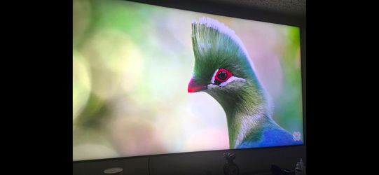 85" Class QN85CD Samsung Neo QLED 4K Smart TV (2023)