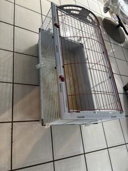 Rabbit Cage