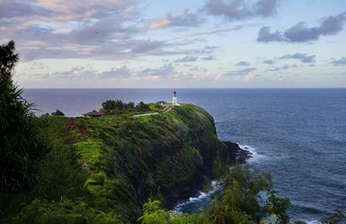 **Home Stagers** Large Metal Nature Photos