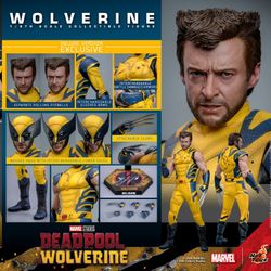 Hot Toys MMS754 Wolverine (Deluxe Version) Marvel Deadpool & Wolverine 1/6 Figure