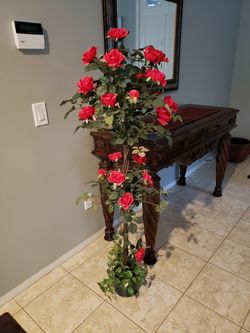 Indoor Roses