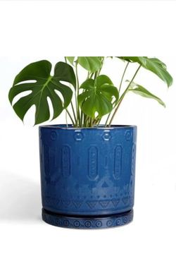 Ceramic Planter Pot Indoor Eightpot 10 Inch with Drainage Holes and Saucer La...