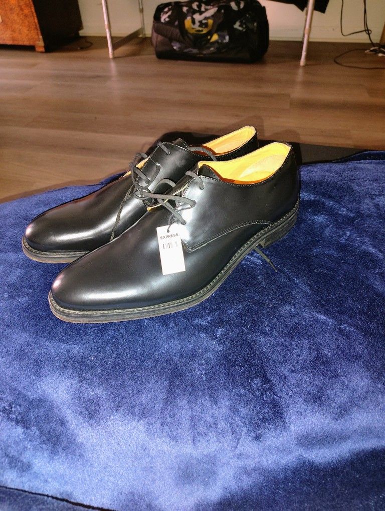 $50.00 Brand New Express Men's Size 11 Dress Shoes