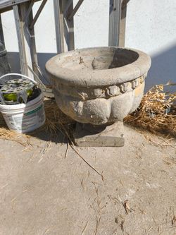 Cement Planter