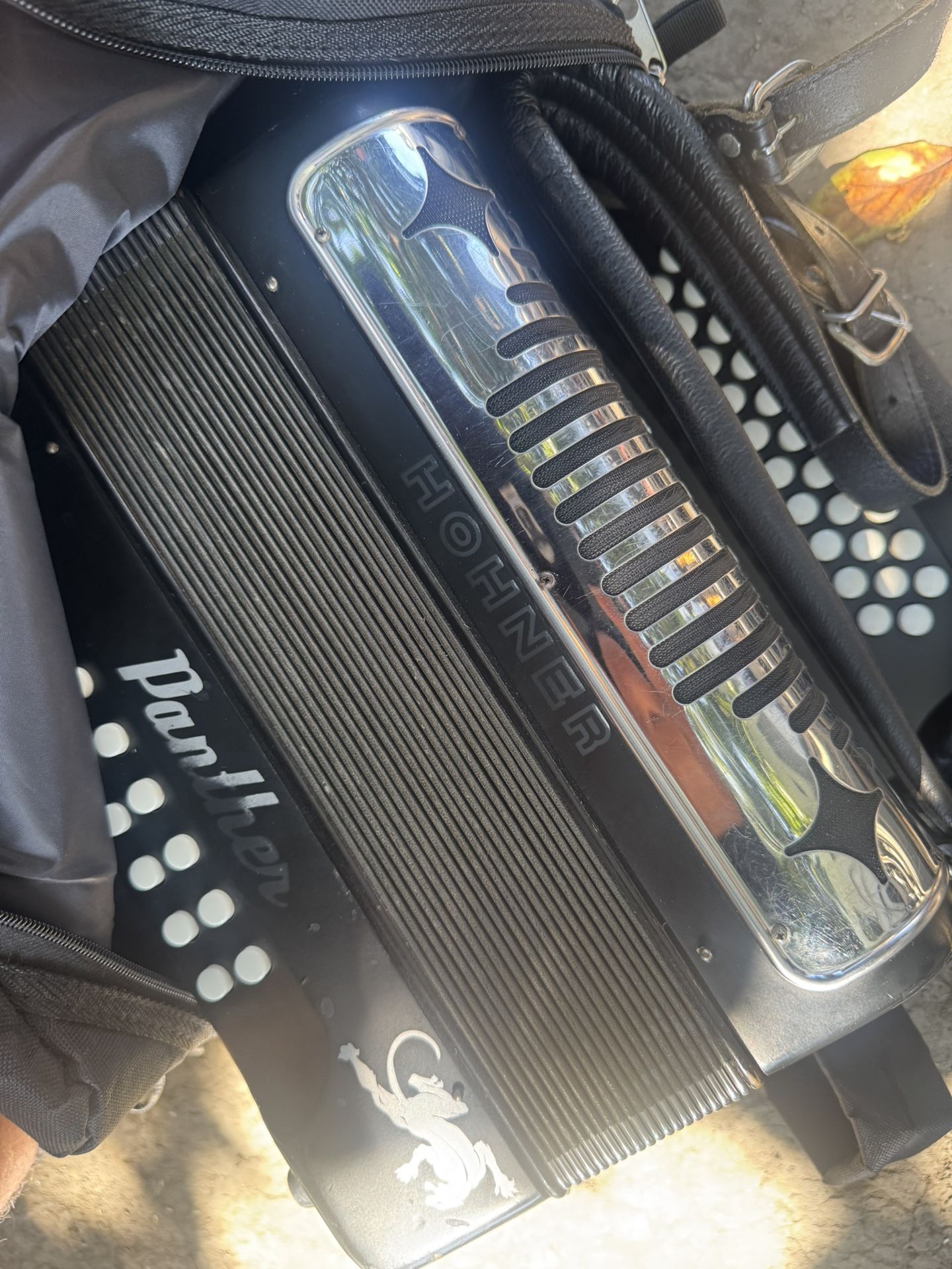 Panther Accordion