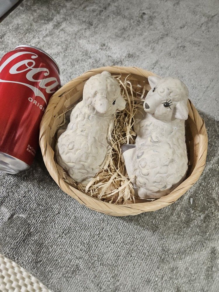 Little lambs in basket