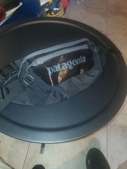 Patagonia Fanny Pack